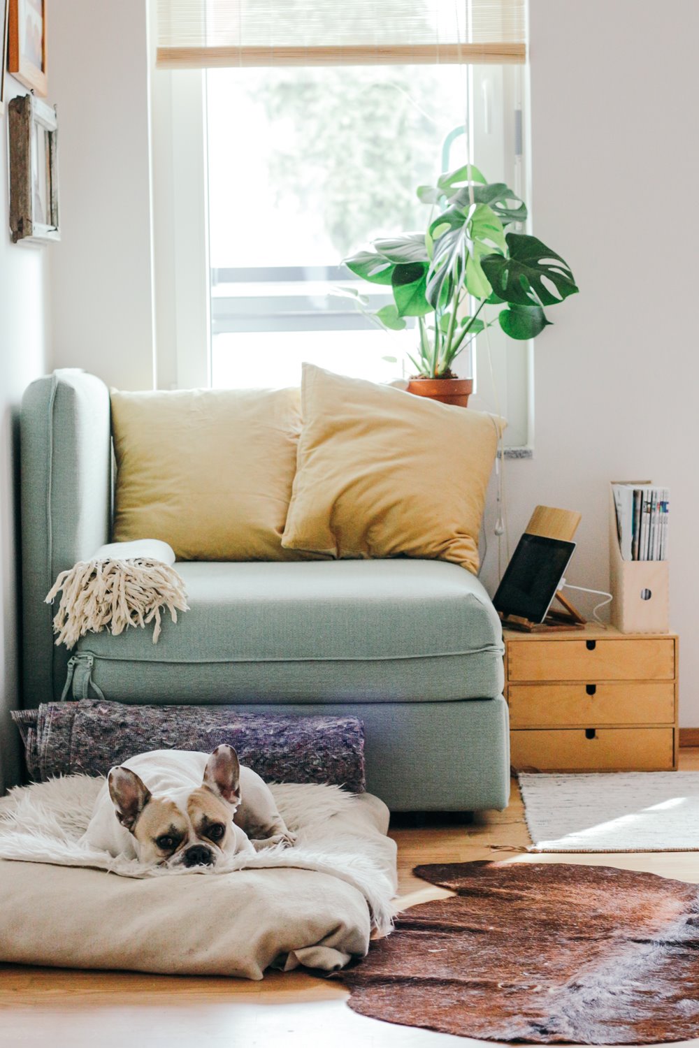 Relaxing Corner At Home