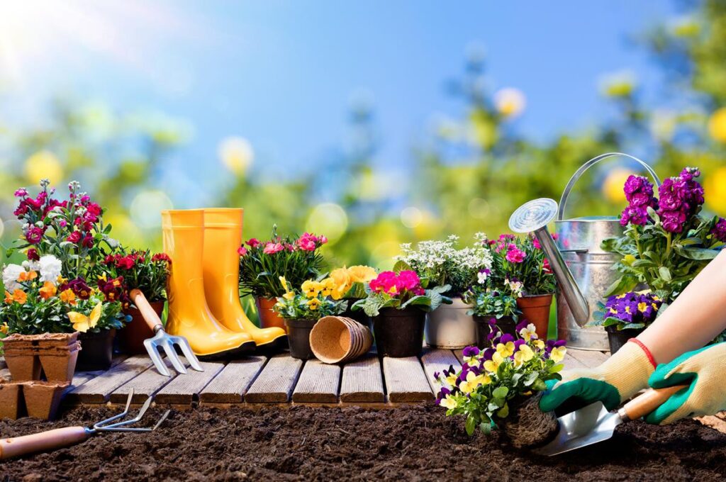 Planting Guide For Different Garden Aspects – Adorable HomeAdorable Home