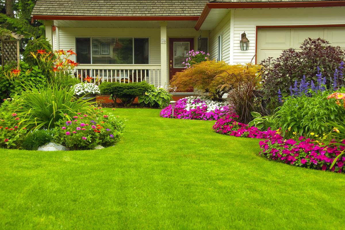 Beautiful Front Yard Garden