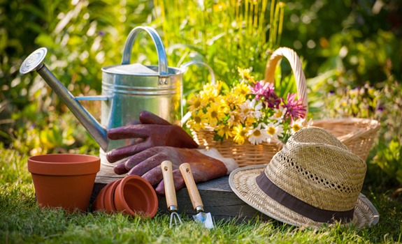 Spring Gardening Tips To Get Your Garden Ready For The Summer