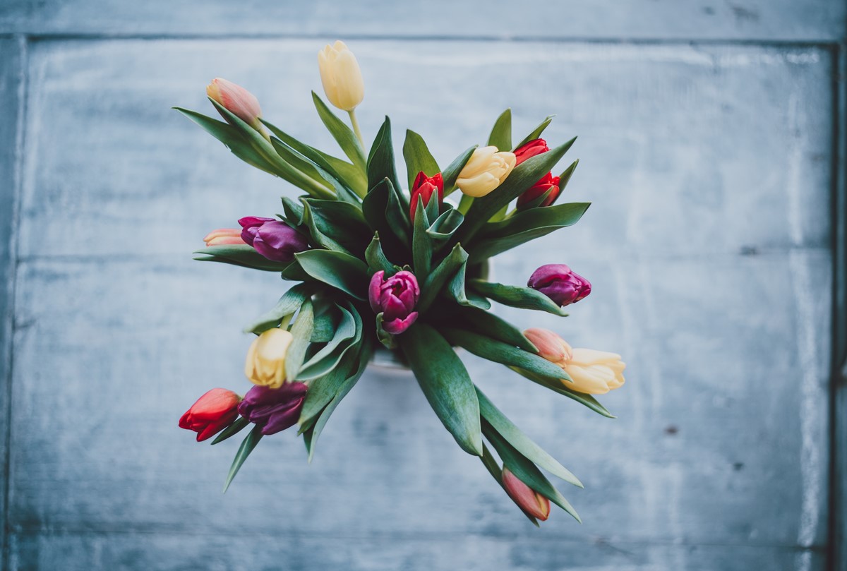 Tulips At Home