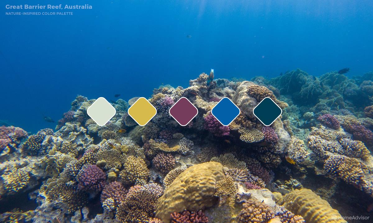 Great-Barrier Reef Color Palette