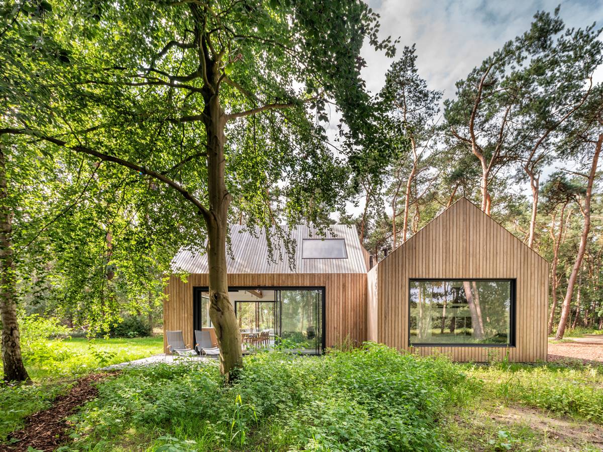 Villa In The Woods Of The Netherlands