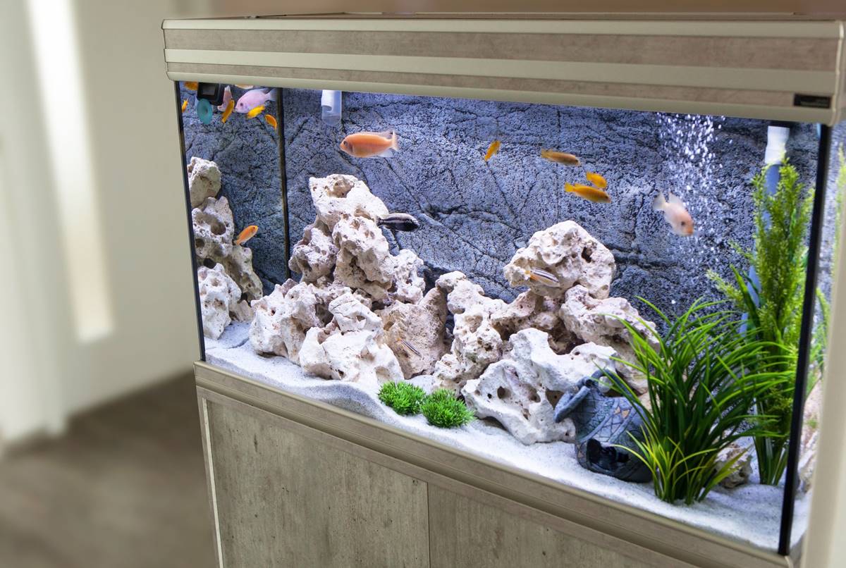 Interior Aquarium