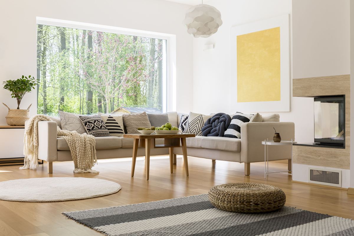 Living Room With Hardwood Floors And Carpet