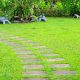 Ways To Ensure Your Grass Gets The Proper Nourishment