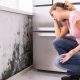 Mold Prevention Training For Homeowners