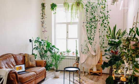 Use Plants As Decor Points In Your Home.