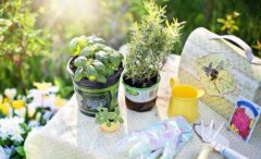 3 Fun Outdoor Diy Projects For Your Garden