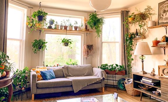 Growing Indoor Flower Gardens