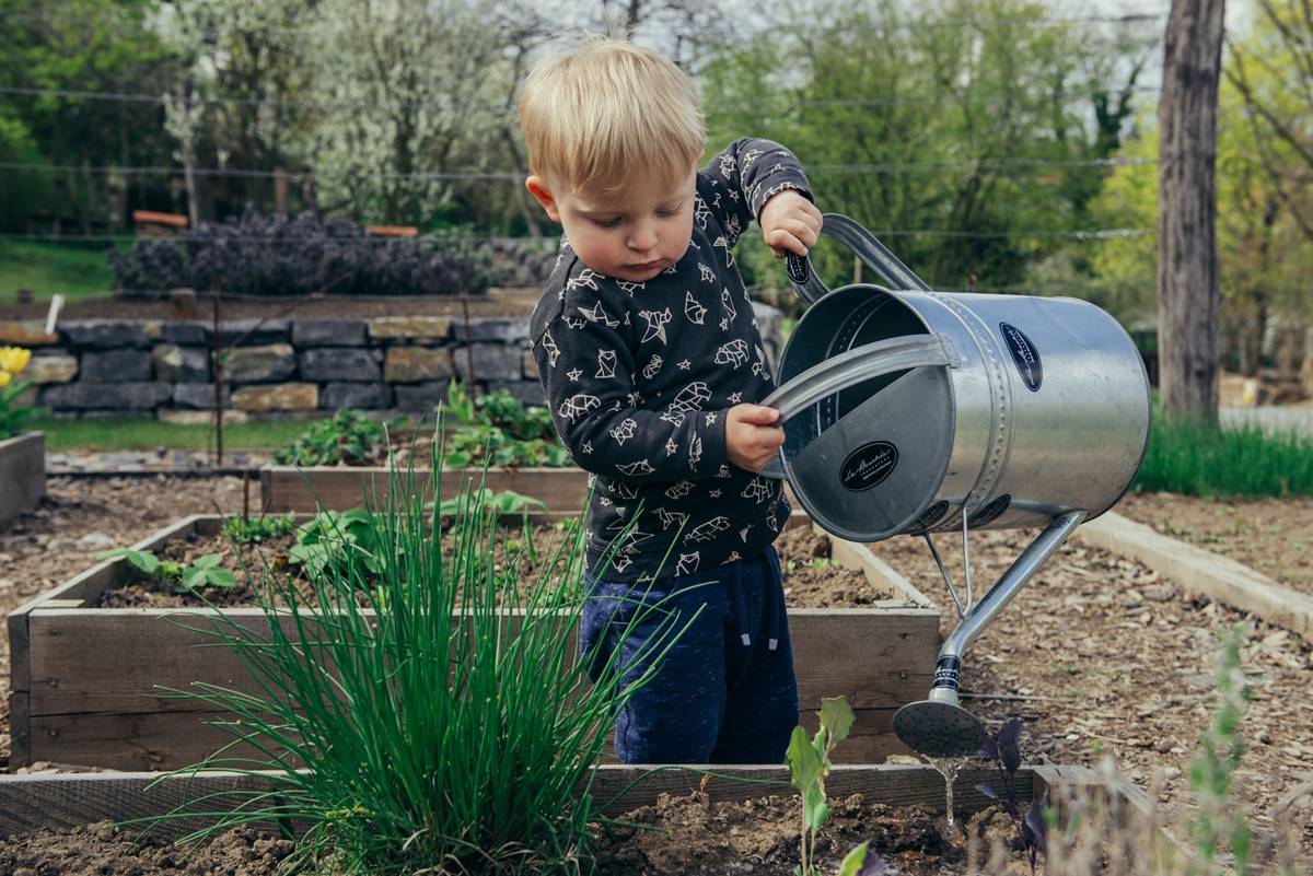 Reduce Water Waste In Your Home And Garden: Child Watering Plants