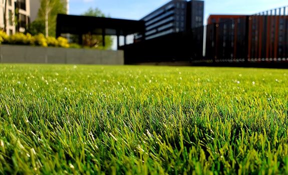 10 Essential Lawn Maintenance Tips for Homeowners