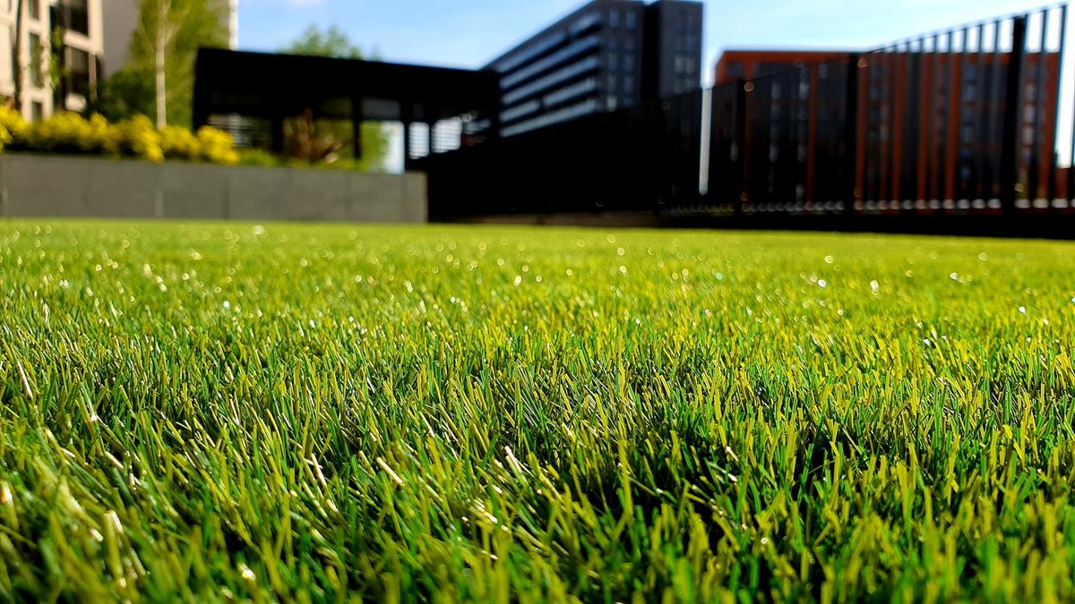Essential Lawn Maintenance Tips