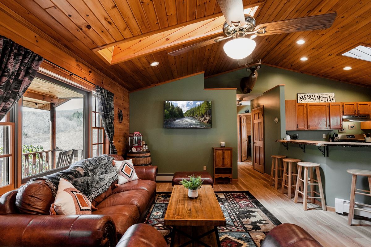 Ceiling Fan Lights