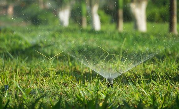 Smart Watering Strategies for an Eco-Friendly, Low-Maintenance Lawn