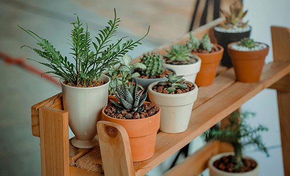 Bringing New Energy To Your Home With Natural Elements-Featured Image