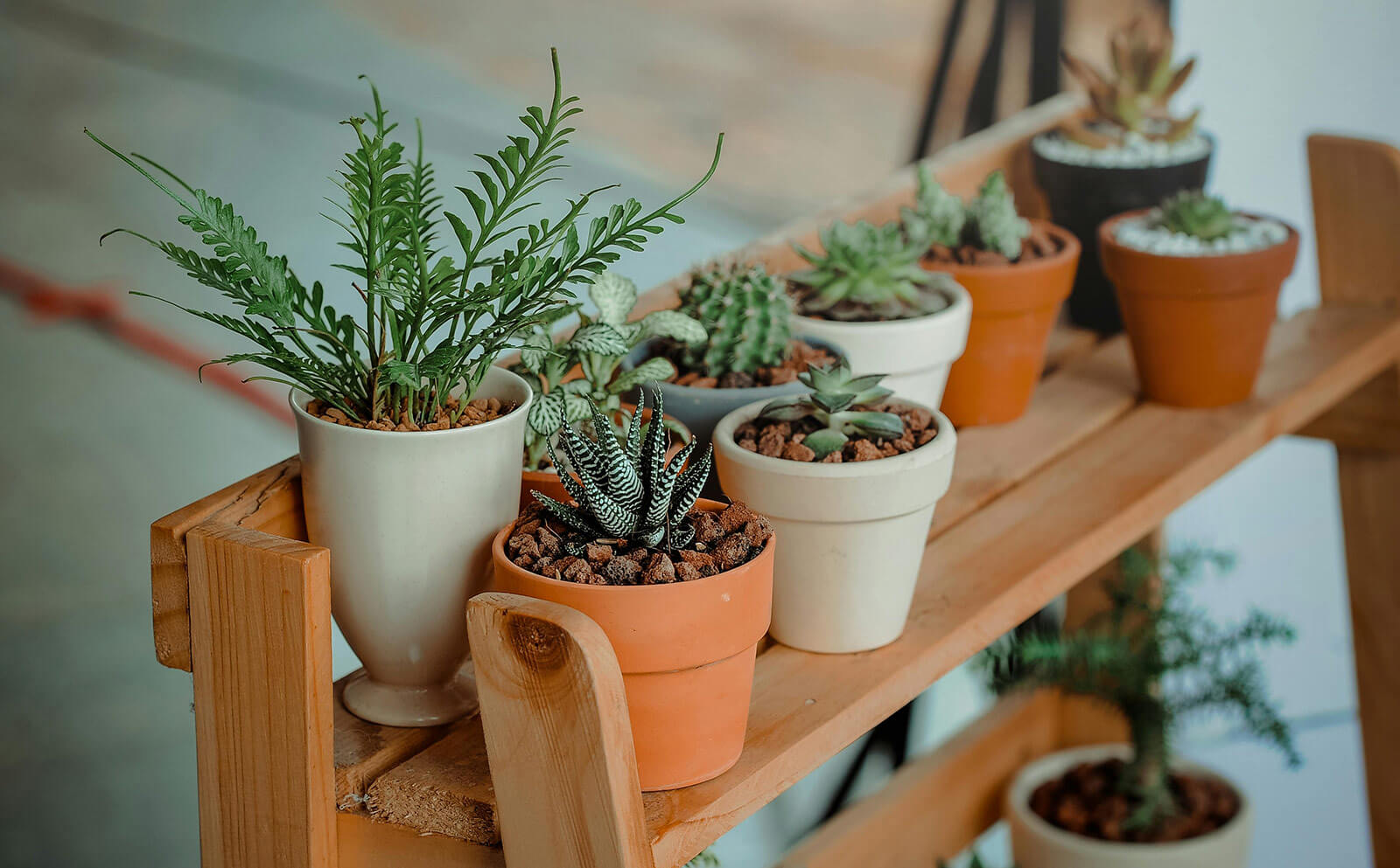 Bringing New Energy To Your Home With Natural Elements